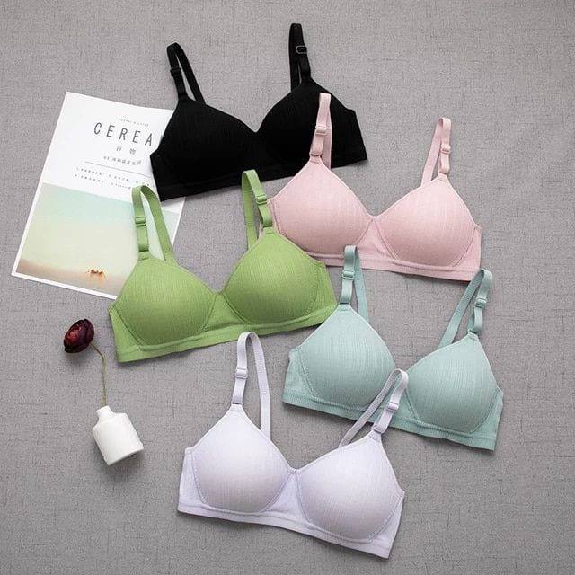 PACK OF 3 PADED BRA